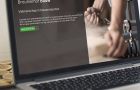 Wordpress responsive website